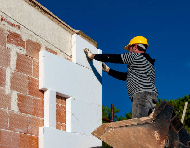 Best Attic Insulation Installation  in Hwatha, IA