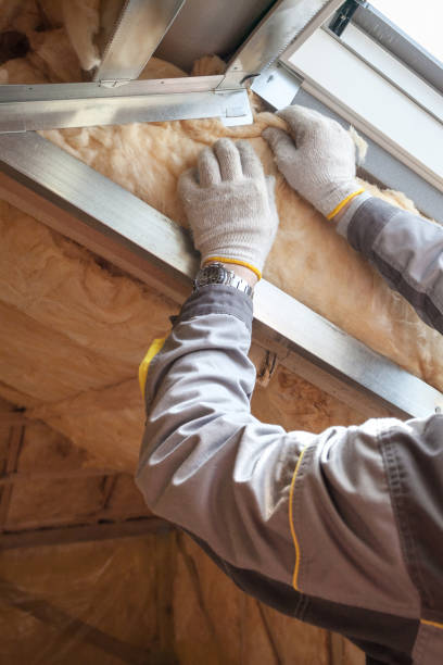 Best Insulation Contractors for Homes  in Hwatha, IA