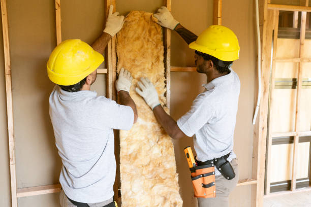 Best Spray Foam Insulation  in Hwatha, IA