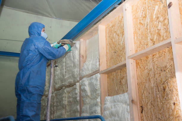 Best Local Insulation Services  in Hwatha, IA