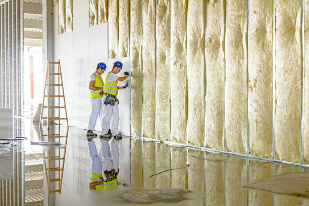 Best Insulation Repair Services  in Hwatha, IA